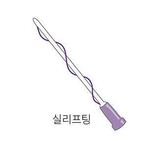 실리프팅