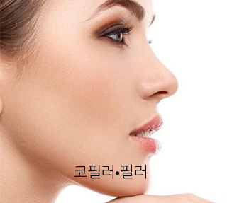 코필러.필러
