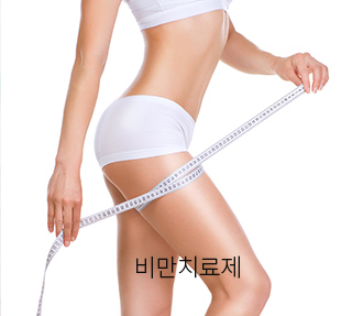 비만치료제