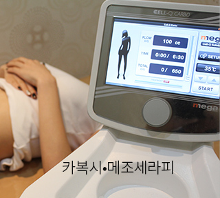 카복시.메조세라피