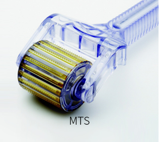 MTS
